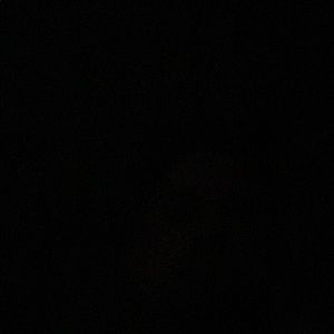 Meet your Posher, Travis